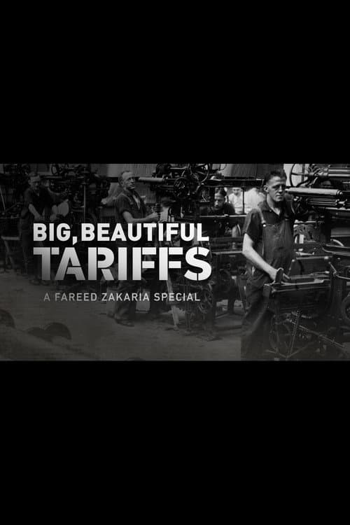 Big, Beautiful Tariffs: A Fareed Zakaria Special (2025) poster