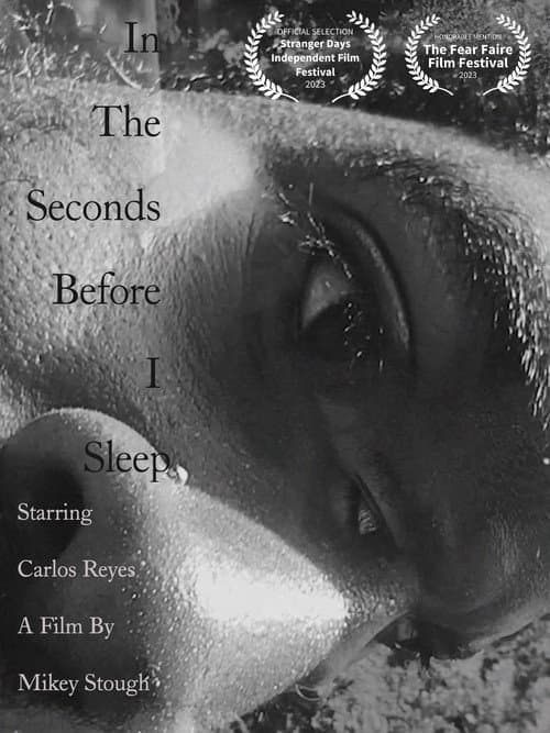 In the Seconds Before I Sleep (2023) poster