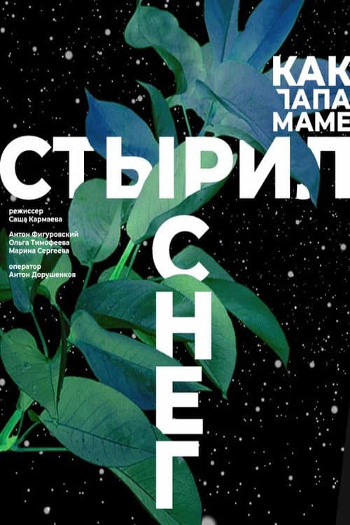Как папа маме стырил снег (2020) poster