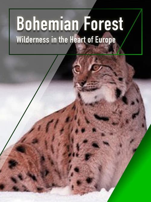 Böhmerwald - Wildnis im Herzen Europas (2000) poster