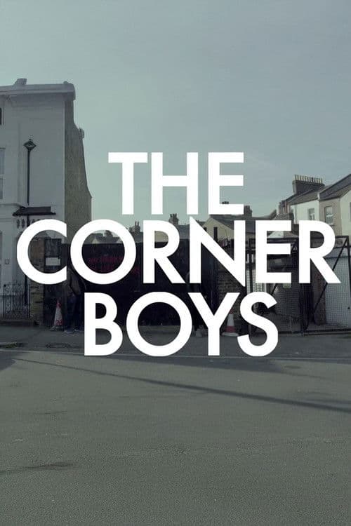 Corner Boys (2013) poster