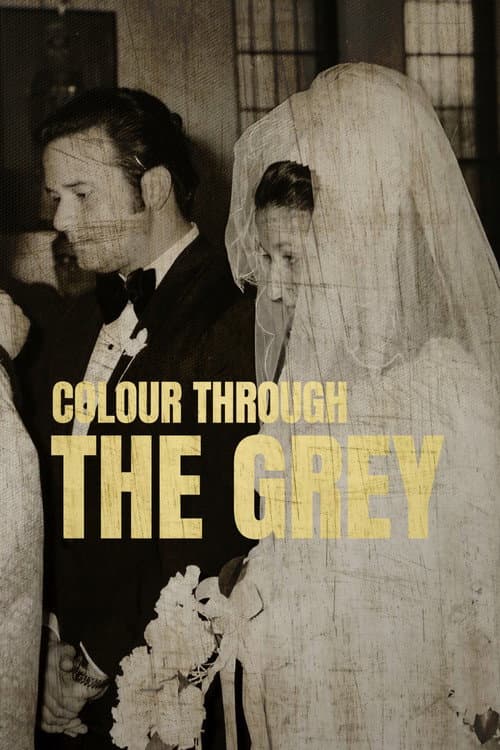 Colour Through the Grey (2025) poster