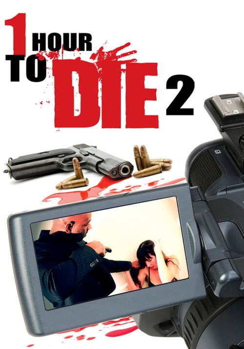 One Hour to Die 2 (2013) poster