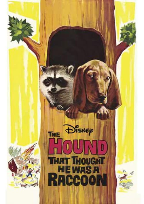 The Hound That Thought He Was a Raccoon (1960) poster