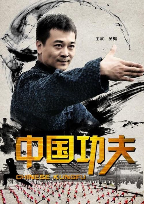 Chinese Kungfu (2010) poster