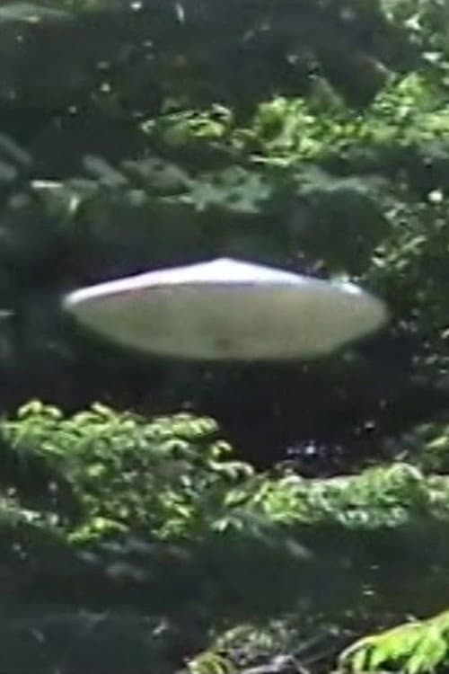 ブチョウとUFOごっこ (2010) poster