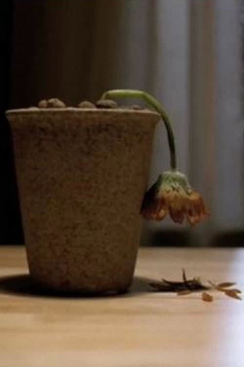 Älskade blomma (2006) poster