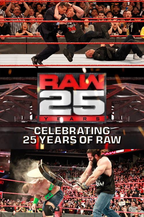 Raw 25: Celebrating 25 Years Of Raw (2018) poster