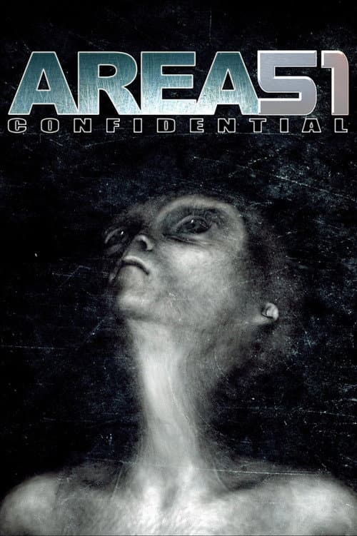 051: Confidential (2011) poster