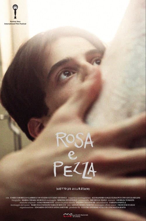Rosa e pezza (2023) poster