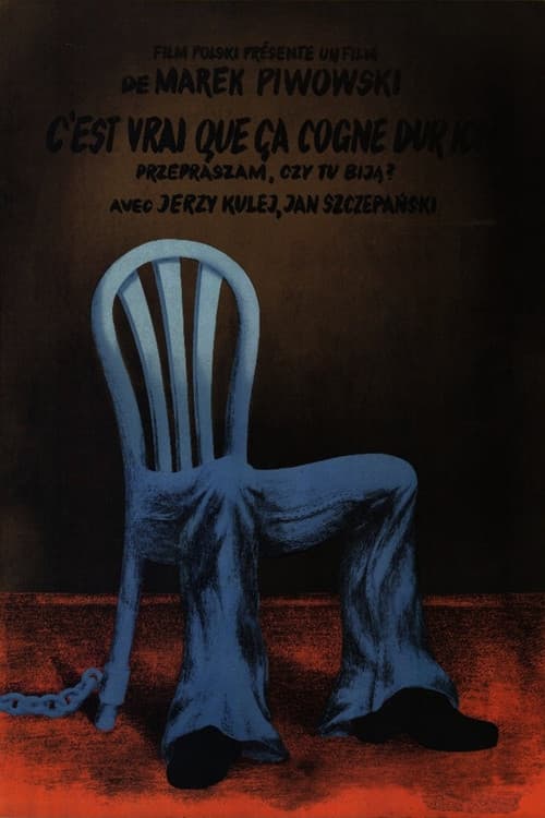Przepraszam, czy tu biją? (1976) poster