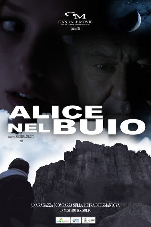 Alice nel buio (2019) poster