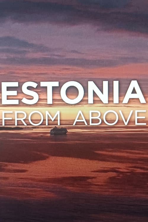 Estonia from above (2023) poster