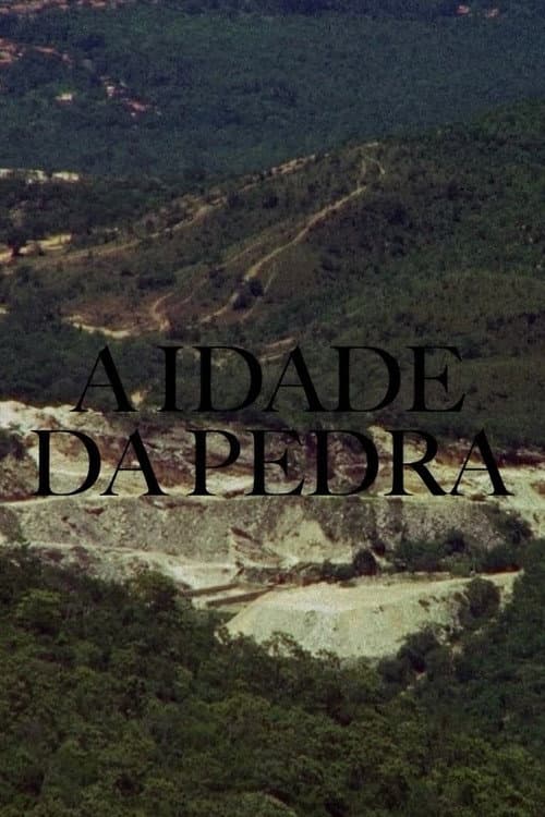A Idade da Pedra (2013) poster