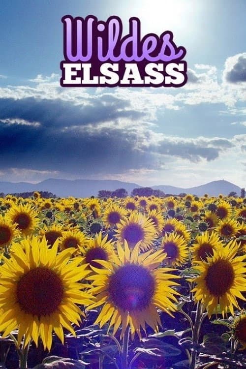 Wildes Elsass (2018) poster
