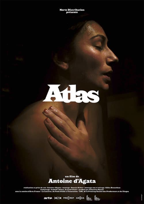 Atlas (2013) poster