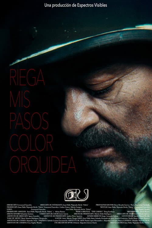 Riega Mis Pasos Color Orquidea (2025) poster