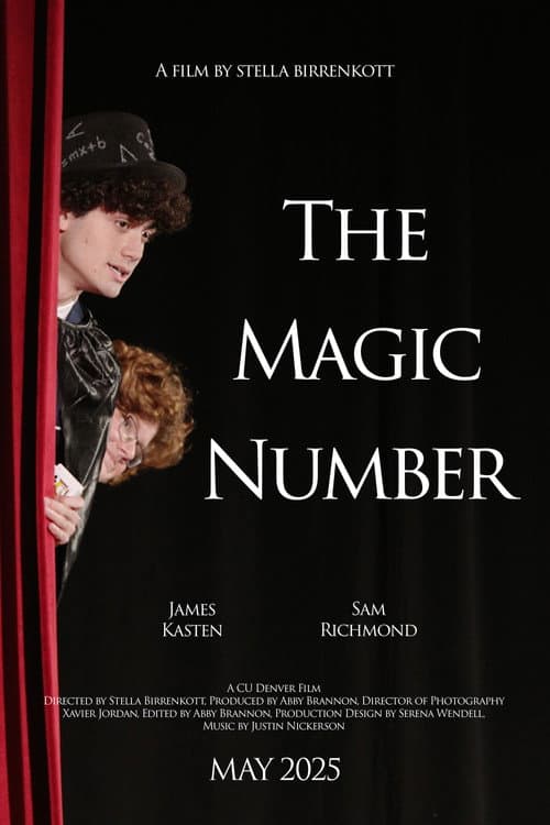The Magic Number () poster