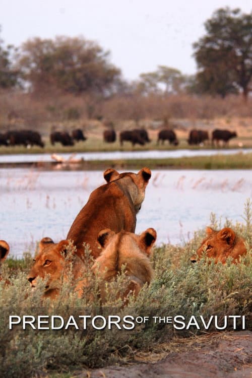 Predators of the Savuti (2023) poster