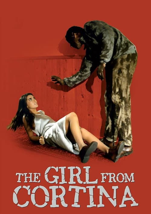 La ragazza di Cortina (1994) poster