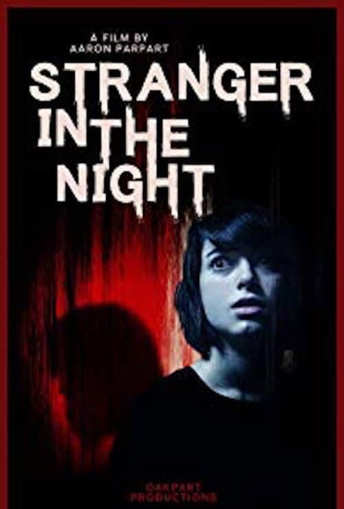 Stranger in the Night (2019) poster