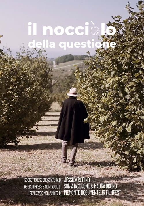 Il nocciolo della questione (2023) poster