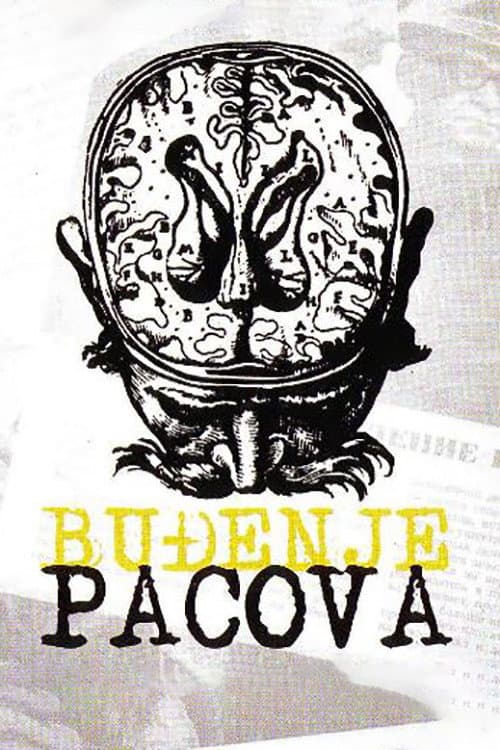 Буђење пацова (1967) poster