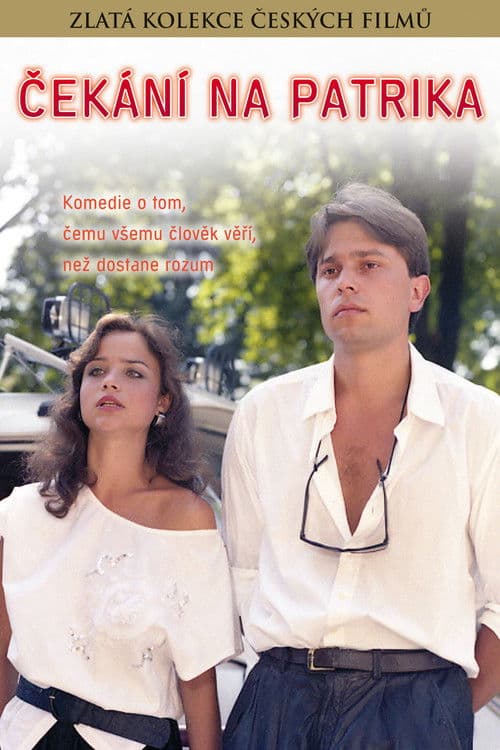Čekání na Patrika (1990) poster