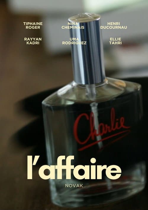 L’Affaire Novak (2026) poster