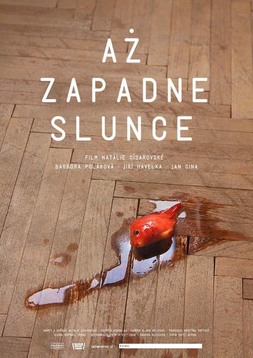 Až zapadne slunce (2015) poster