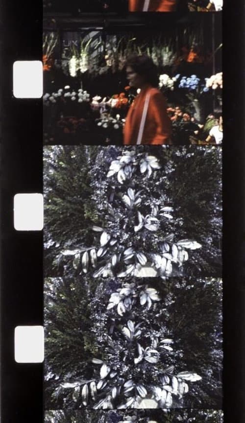 Chutes de Foire du Trône (1981) poster