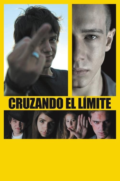 Cruzando el límite (2010) poster