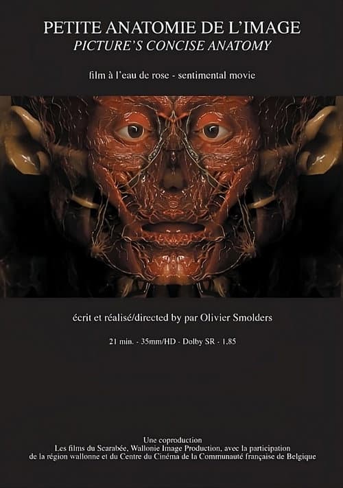 Petite anatomie de l'image (2010) poster