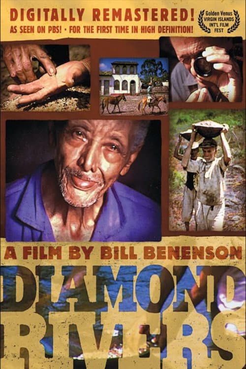 Diamond Rivers (1977) poster