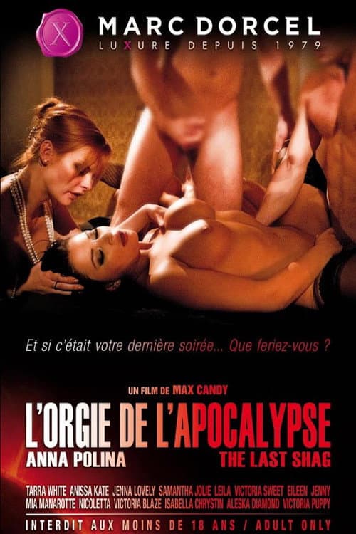 L'orgie de l'Apocalypse (2012) poster