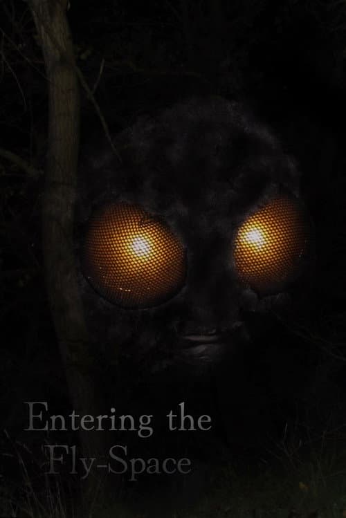 Entering the Fly-Space (2026) poster
