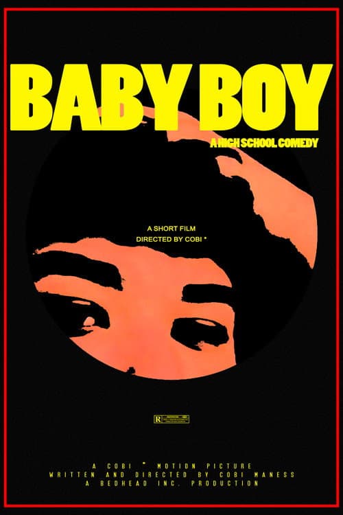 BABY BOY () poster