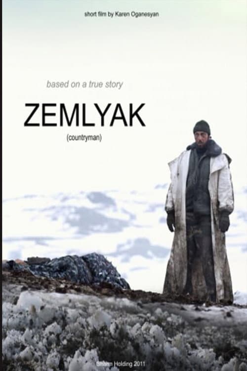 Земляк (2010) poster