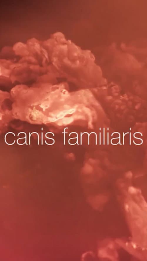 Canis familiaris (2017) poster