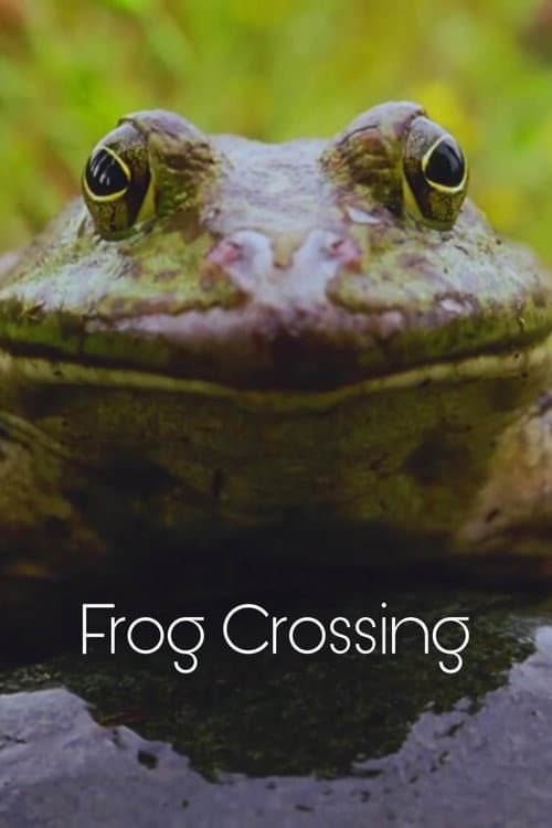 Frog Crossing (1996) poster