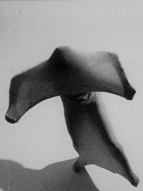 Ana Kamien (1970) poster