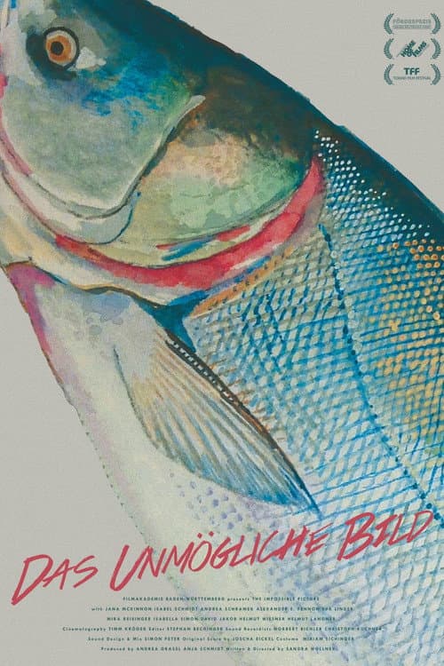 Das unmögliche Bild (2016) poster