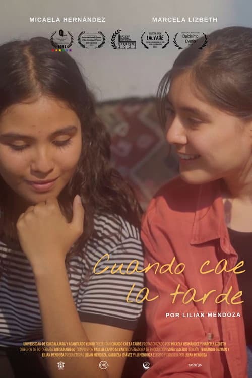 Cuando cae la tarde (2025) poster