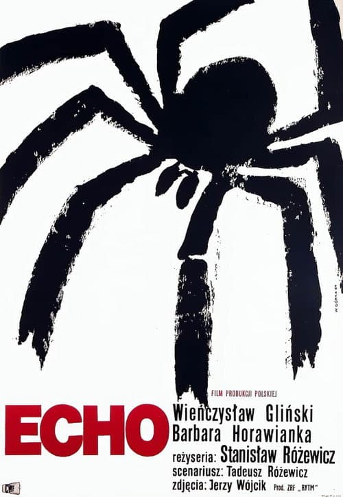 Echo (1964) poster