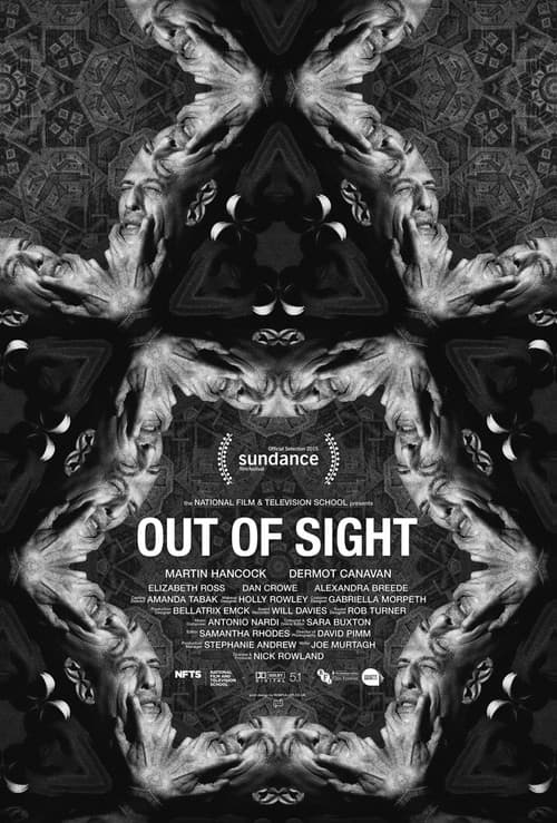 Out of Sight (2015) poster