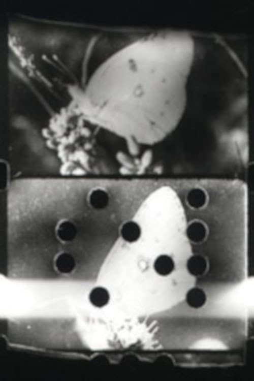 Farfallio (1993) poster