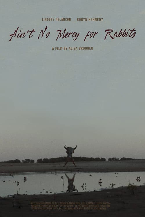 Ain't No Mercy for Rabbits (2020) poster