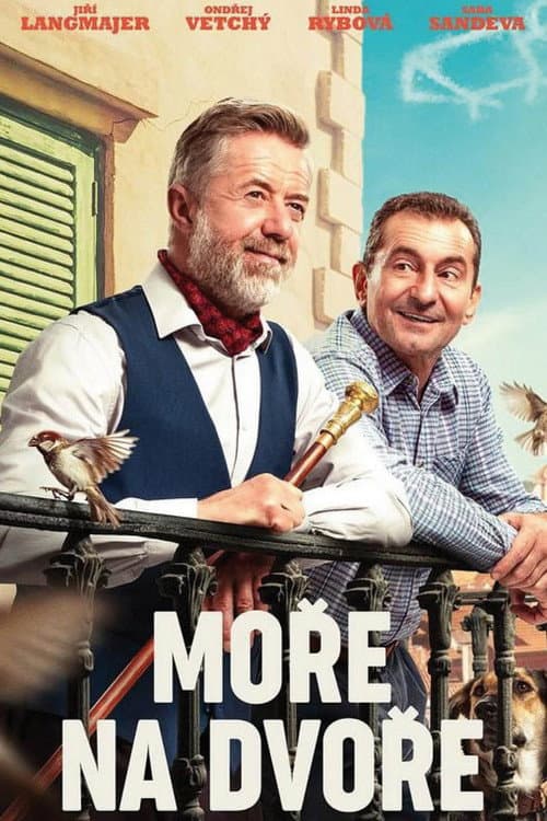 Moře na dvoře (2025) poster