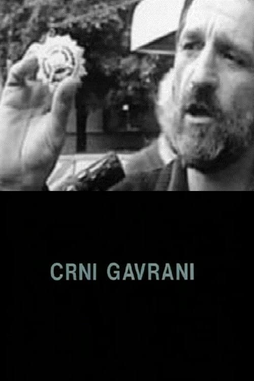 Crni gavrani (2002) poster