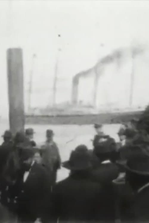 S.S. 'Coptic' in the Harbor (1897) poster